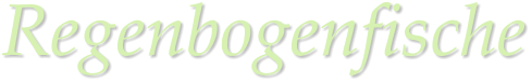 Regenbogenfische