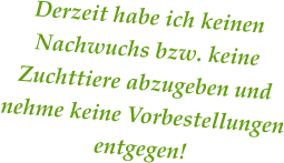 Derzeit habe ich keinen Nachwuchs bzw. keine Zuchttiere abzugeben und nehme keine Vorbestellungen entgegen!